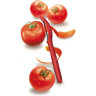 Нож для чистки овощей VICTORINOX 7.6075.1